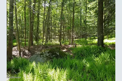 Pine Creek Road, Hawley, PA 18428 - Photo 1