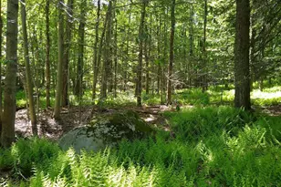 Pine Creek Rd, Hawley, PA 18428 - Photo 1