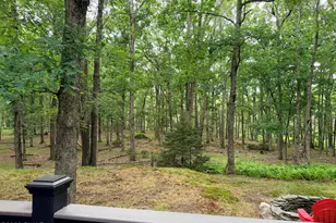 117 Hackney Ct, Milford, PA 18337 - Photo 27