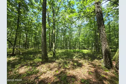 Lot 17 Woodledge Hills Drive, Hawley, PA 18428 - Photo 7