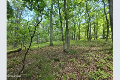 Lot 17 Woodledge Hills Drive, Hawley, PA 18428 - Photo 9