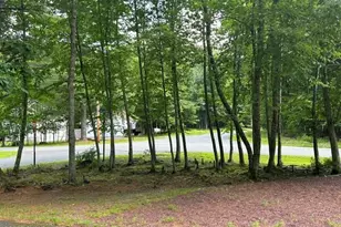146 Bernadette Dr, Dingmans Ferry, PA 18328 - Photo 3