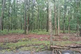 127 Arapajo Dr, Shohola, PA 18458 - Photo 11