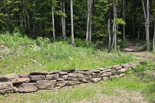 99 Sherman Rd, Susquehanna, PA 18847 - Photo 67