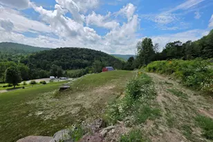 99 Sherman Rd, Susquehanna, PA 18847 - Photo 69