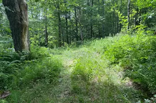 99 Sherman Rd, Susquehanna, PA 18847 - Photo 69