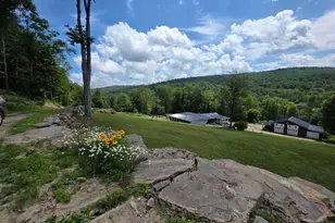 99 Sherman Rd, Susquehanna, PA 18847 - Photo 71