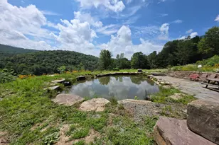 99 Sherman Rd, Susquehanna, PA 18847 - Photo 81