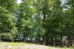181 Marina Wy, Greentown, PA 18426 - Photo 33