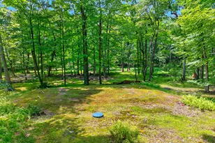195 Aspen Dr, Milford, PA 18337 - Photo 41