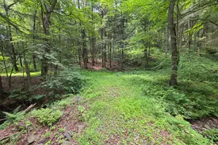 570 Pleasant Valley Rd, Starrucca, PA 18462 - Photo 15