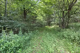 570 Pleasant Valley Rd, Starrucca, PA 18462 - Photo 11