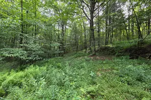570 Pleasant Valley Rd, Starrucca, PA 18462 - Photo 21