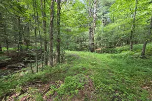 570 Pleasant Valley Rd, Starrucca, PA 18462 - Photo 13