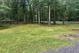 115 Tink Wig Dr, Hawley, PA 18428 - Photo 45