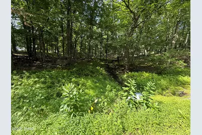 Mountain Top Drive, Dingmans Ferry, PA 18328 - Photo 3
