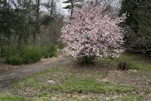 2127 Route 590, Hawley, PA 18428 - Photo 63