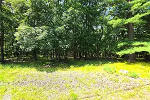 136 Gunstock Ln, Tafton, PA 18464 - Photo 27