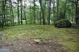 131 Basswood Dr, Lords Valley, PA 18428 - Photo 31
