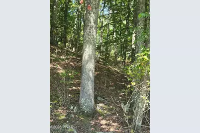 Lot 3 Renee Drive, Dingmans Ferry, PA 18328 - Photo 1