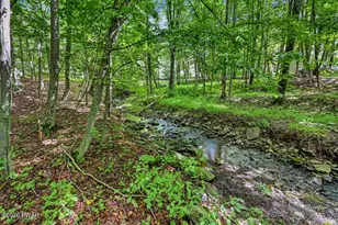 552 Lakeview Dr E, Lake Ariel, PA 18436 - Photo 77