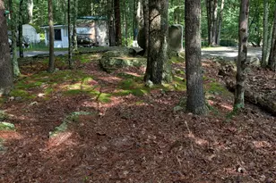 225 Shohola Ln, Shohola, PA 18458 - Photo 7