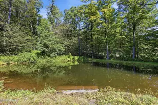 220 Great Bend Turnpike, Pleasant Mount, PA 18453 - Photo 49