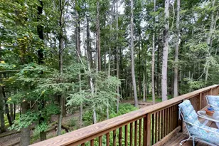1117 Owl Ct, Bushkill, PA 18324 - Photo 29