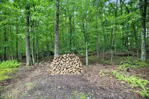 1036 Stone Crop Rd, Hawley, PA 18428 - Photo 49