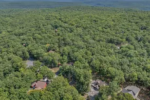 103 Owl Ct, Lackawaxen, PA 18435 - Photo 67