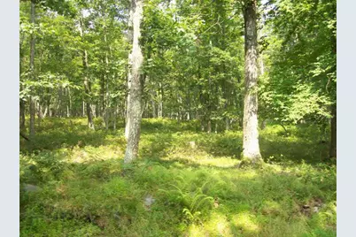 Lot 178A Majestic Court, East Stroudsburg, PA 18302 - Photo 3