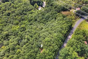 5231 Woodbridge Dr E, Bushkill, PA 18324 - Photo 59