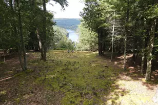 123 Whitetail Dr, Shohola, PA 18458 - Photo 31