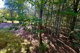 502 Canoe Brook Dr, Hawley, PA 18428 - Photo 35