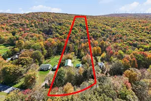 598 Ravnikar Rd, Forest City, PA 18421 - Photo 45