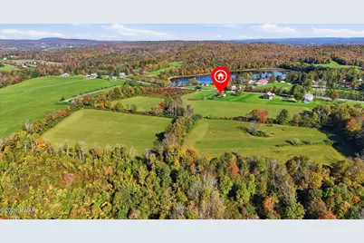 1014 Cochecton Turnpike, Tyler Hill, PA 18469 - Photo 65