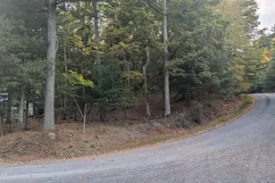 Lot 16 Laverne/Renee Dr, Dingmans Ferry, PA 18328 - Photo 1