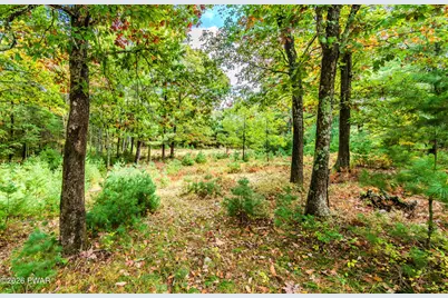 154 Myck Road, Dingmans Ferry, PA 18328 - Photo 39