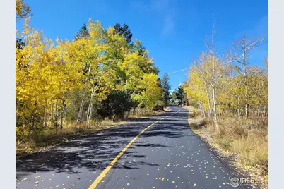 2433 Fox Acres Dr E, Red Feather Lakes, CO 80545 - Photo 3