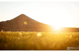 7484 N 49th St, Longmont, CO 80503 - Photo 19