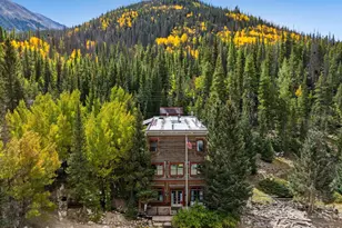 25850 Co Rd 162, St Elmo, CO 81236 - Photo 3