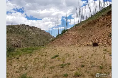 151 Black Mountain Ct, Livermore, CO 80536 - Photo 5