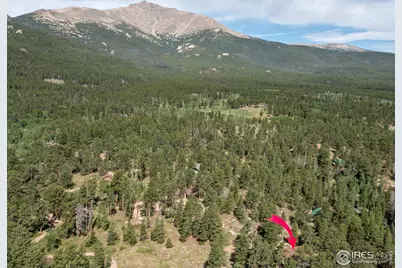 11650 Peak To Peak Highway, Allenspark, CO 80510 - Photo 11