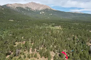 11650 Peak to Peak Hwy, Allenspark, CO 80510 - Photo 11