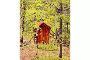 11650 Peak to Peak Hwy, Allenspark, CO 80510 - Photo 3