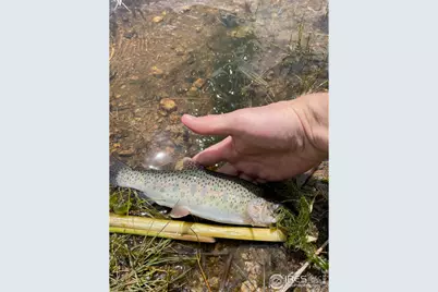 0 Hemlock Dr, Lyons, CO 80540 - Photo 27