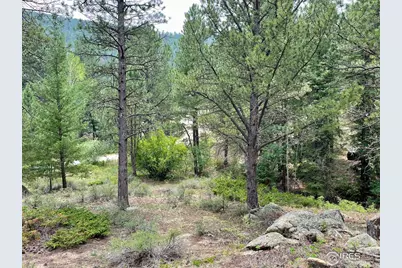 0 Hemlock Dr, Lyons, CO 80540 - Photo 13