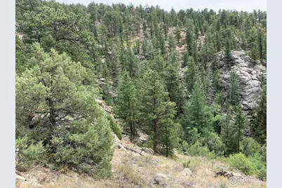 875 Pine Tree Dr, Estes Park, CO 80517 - Photo 5