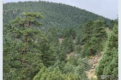 875 Pine Tree Dr, Estes Park, CO 80517 - Photo 9