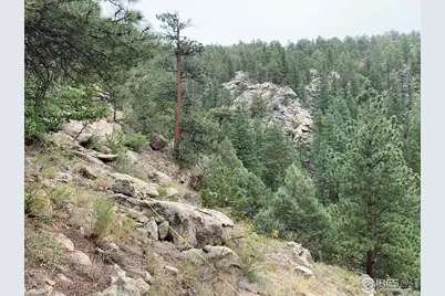 875 Pine Tree Dr, Estes Park, CO 80517 - Photo 19